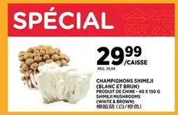 Kim Phat SHIMEJI MUSHROOMS (WHITE & BROWN) offer