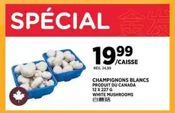 Kim Phat WHITE MUSHROOMS offer