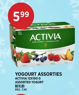 Kim Phat ACTIVIA ASSORTED YOGURT offer