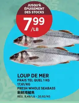 Kim Phat FRESH WHOLE SEABASS offer