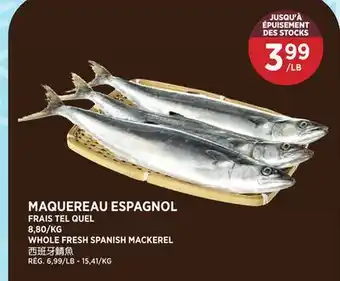 Kim Phat WHOLE FRESH SPANISH MACKEREL offer