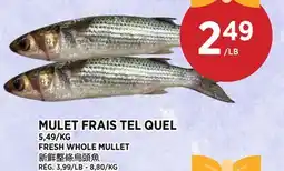 Kim Phat FRESH WHOLE MULLET offer