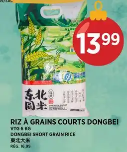 Kim Phat VTG DONGBEI SHORT GRAIN RICE offer
