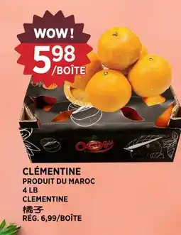Kim Phat CLEMENTINE offer