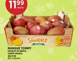 Kim Phat TOMMY MANGO offer