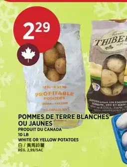 Kim Phat WHITE OR YELLOW POTATOES offer