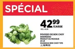 Kim Phat SHANGHAI BOK CHOY TIPS offer