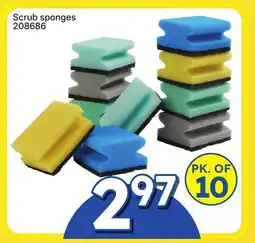 Rossy Scrub sponges offer