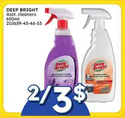 Rossy DEEP BRIGHT Asst. cleaners offer