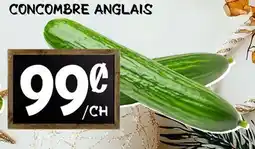 Marche Salaberry CONCOMBRE ANGLAIS offer