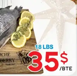 Marche Salaberry TILAPLA NETTOYÉ offer