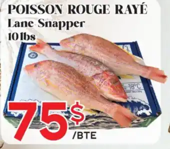 Marche Salaberry POISSON ROUGE RAYÉ offer