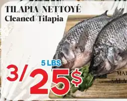 Marche Salaberry TILAPIA NETTOYÉ offer