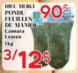 Marche Salaberry DIEU MERCI PONDU FEUILLES DE MANIOC offer