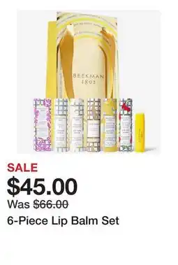 TSC Stores 6-Piece Lip Balm Set offer