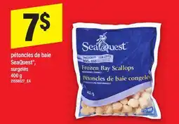 Maxi Petoncles de Baie offer