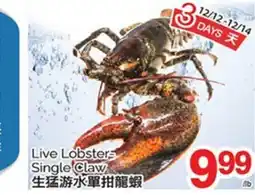 T&T Supermarket LIVE LOBSTER SINGLE CLAW offer