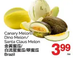 T&T Supermarket CANARY MELON/DINO MELON/SANTA CLAUS MELON offer