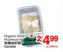 T&T Supermarket ORGANIC ENOKI MUSHROOM offer