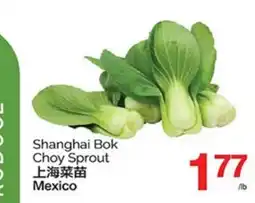 T&T Supermarket SHANGHAI BOK CHOY SPROUT offer