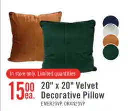 The Brick 20 x 20 Velvet Decorative Pillow offer
