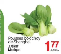 T&T Supermarket POUSSES BOK CHOY DE SHANGHAI offer