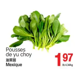 T&T Supermarket POUSSES DE YU CHOY offer
