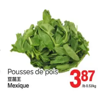 T&T Supermarket POUSSES DE POIS offer