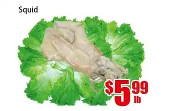 New Pacific Supermarket Squid offer