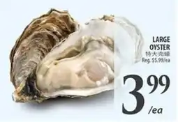 Al Premium Food Mart Large oyster offer