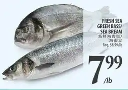 Al Premium Food Mart Fresh sea green bass/ sea bream offer