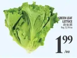 Al Premium Food Mart Green leaf lettuce offer
