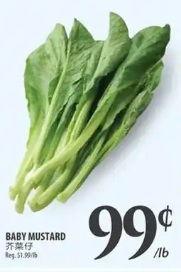 Al Premium Food Mart Baby mustard offer