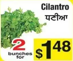 Fruiticana Cilantro offer