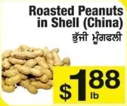 Fruiticana Roasted Peanuts in Shell offer