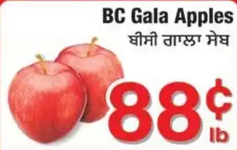 Fruiticana BC Gala Apples offer