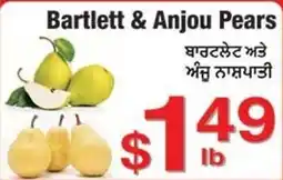 Fruiticana Bartlett & Anjou Pears offer