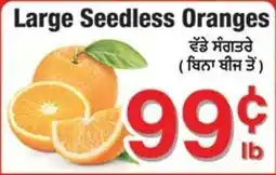 Fruiticana Large Seedless Oranges offer