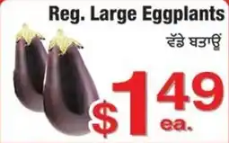 Fruiticana Reg. Large Eggplants offer