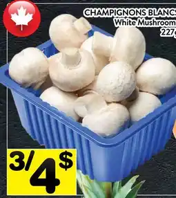 Supermarché PA CHAMPIGNONS BLANCS | White Mushrooms offer