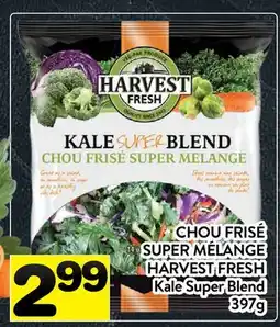Supermarché PA CHOU FRISÉ SUPER MÉLANGE HARVEST FRESH | Kale Super Blend offer