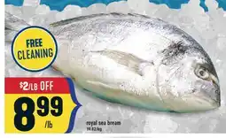 Marché Adonis ROYAL SEA BREAM offer