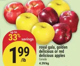 Marché Adonis ROYAL GALA, GOLDEN DELICIOUS OR RED DELICIOUS APPLES offer