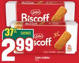 Marché Adonis Lotus cookies offer