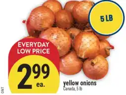 Marché Adonis Yellow onions offer