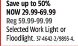 Canadian Tire Selected Work Light or Floodlight offer