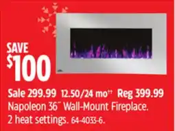 Canadian Tire Napoleon 36˝ Wall-Mount Fireplace offer