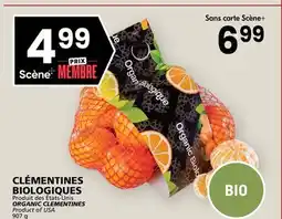 Rachelle-Bery Grocery ORGANIC CLEMENTINES offer