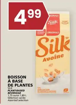 Rachelle-Bery Grocery SILK PLANT-BASED BEVERAGE offer