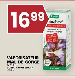 Rachelle-Bery Grocery A. VOGEL SORE THROAT SPRAY offer
